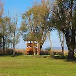 Hullam Balatonmáriafürdő
