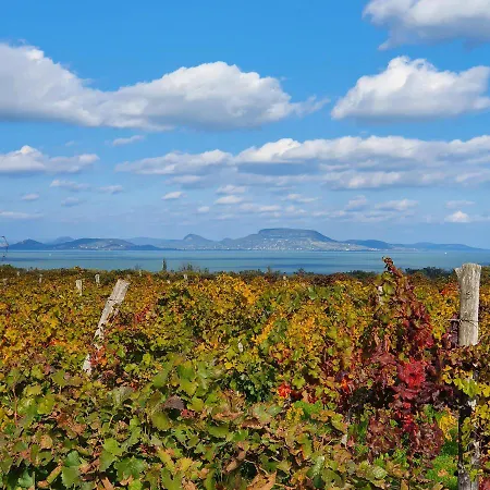 Hullam 4* Balatonmariafurdo