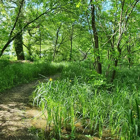 胡拉姆别墅住宿加早餐旅舍 Balatonmáriafürdő