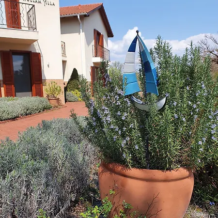 Hullam לינה וארוחת בוקר