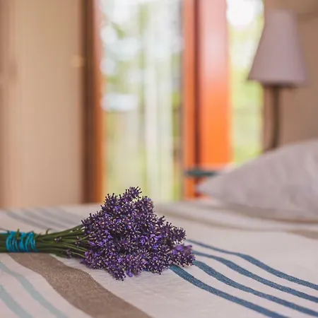 Bed & Breakfast Hullam 4*