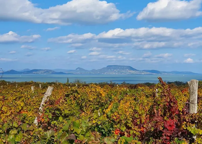 胡拉姆别墅住宿加早餐旅舍 4* Balatonmáriafürdő