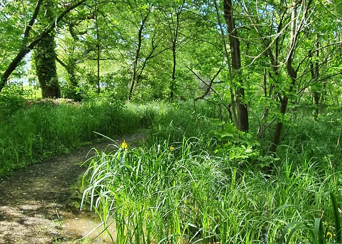 胡拉姆别墅住宿加早餐旅舍 Balatonmáriafürdő