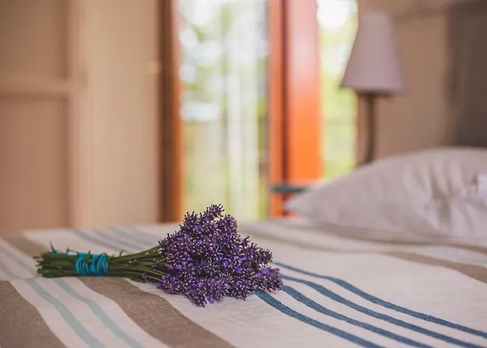 Bed and Breakfast Hullam 4*